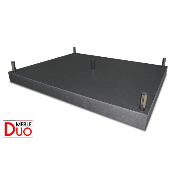 DODATKOWA PIĄTA NOGA